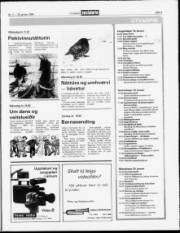 Síða 27
