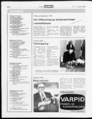 Síða 28