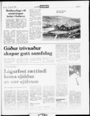 Síða 15