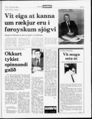 Síða 13