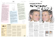 Síða 8