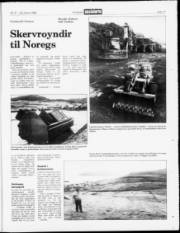 Síða 17