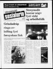 Síða 1
