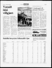 Síða 5