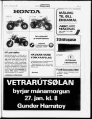Síða 17