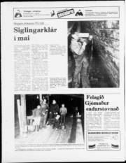 Síða 20