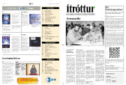 Síða 11