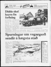 Síða 20