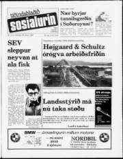 Síða 1