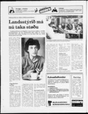 Síða 16