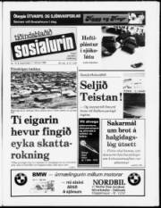 Síða 1