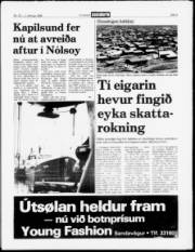 Síða 3