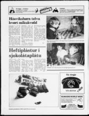 Síða 20