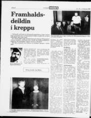 Síða 22