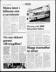 Síða 5