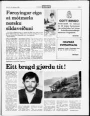 Síða 7