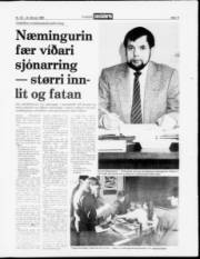 Síða 13