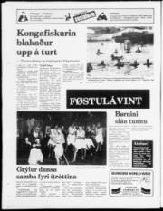 Síða 24