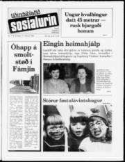 Síða 1