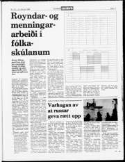 Síða 17