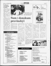 Síða 19