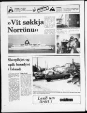Síða 20