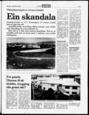 Síða 3