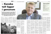 Síða 13