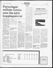 Síða 19