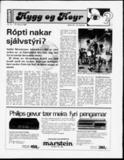 Síða 25