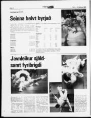 Síða 12