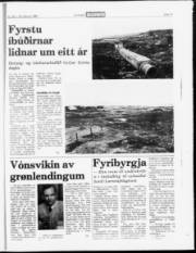 Síða 15