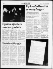 Síða 2