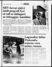 Síða 13