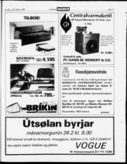 Síða 17