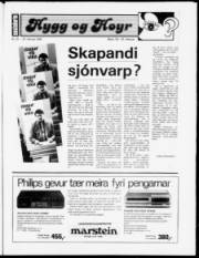 Síða 21