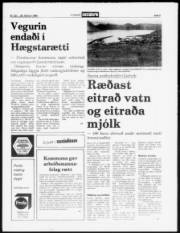 Síða 5