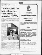 Síða 17