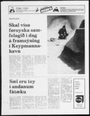 Síða 23