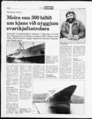 Síða 8