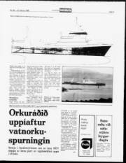 Síða 9