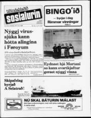 Síða 1