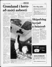 Síða 5