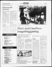 Síða 19