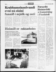 Síða 2