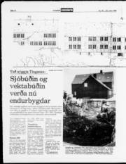 Síða 12