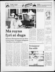 Síða 24