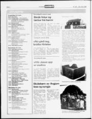 Síða 26