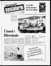Síða 1