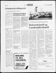 Síða 18